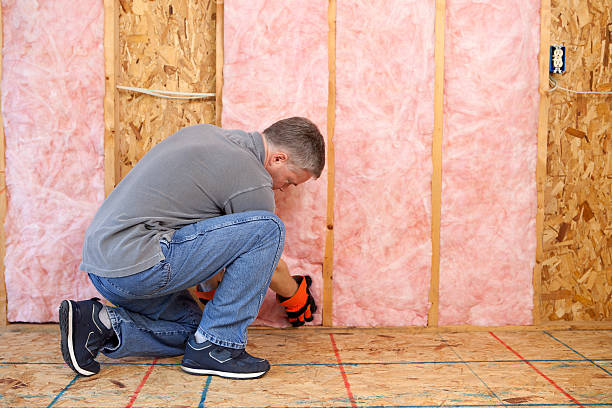 Best Residential Insulation Services  in Clton, IN