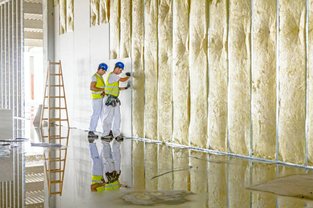 Best Insulation for New Construction  in Clton, IN